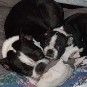 Meet your Posher, Paul